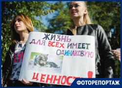 В Астрахани прошёл митинг в защиту животных В Астрахани прошёл митинг в защиту животных