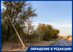 Держи меня, соломинка: на астраханской дороге из последних сил держится столб Держи меня, соломинка: на астраханской дороге из последних сил держится столб