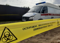 В Астрахани приготовились к борьбе с Чумой В Астрахани приготовились к борьбе с Чумой
