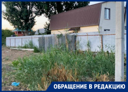 Выхода нет: астраханка семь лет пытается исправить ошибку чиновников Выхода нет: астраханка семь лет пытается исправить ошибку чиновников