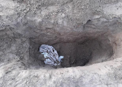 В Астрахани волгоградцы жестоко убили и закопали владельца дорогой иномарки В Астрахани волгоградцы жестоко убили и закопали владельца дорогой иномарки