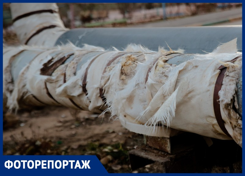 Стригущий лишай напал на астраханские трубы Стригущий лишай напал на астраханские трубы