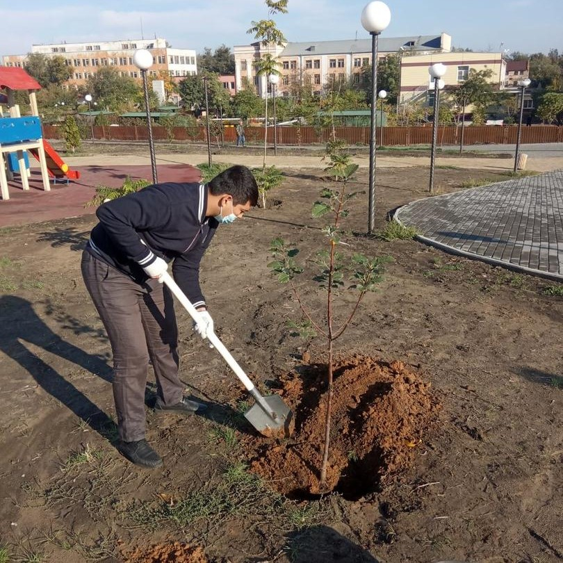Парк в спальном районе Астрахани станет зеленее Парк в спальном районе Астрахани станет зеленее