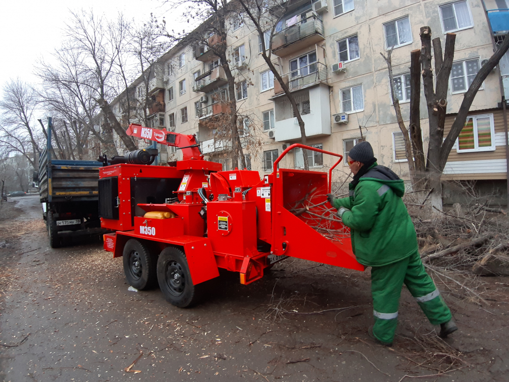 Повод для радости: с улиц Астрахани стали исчезать ветки