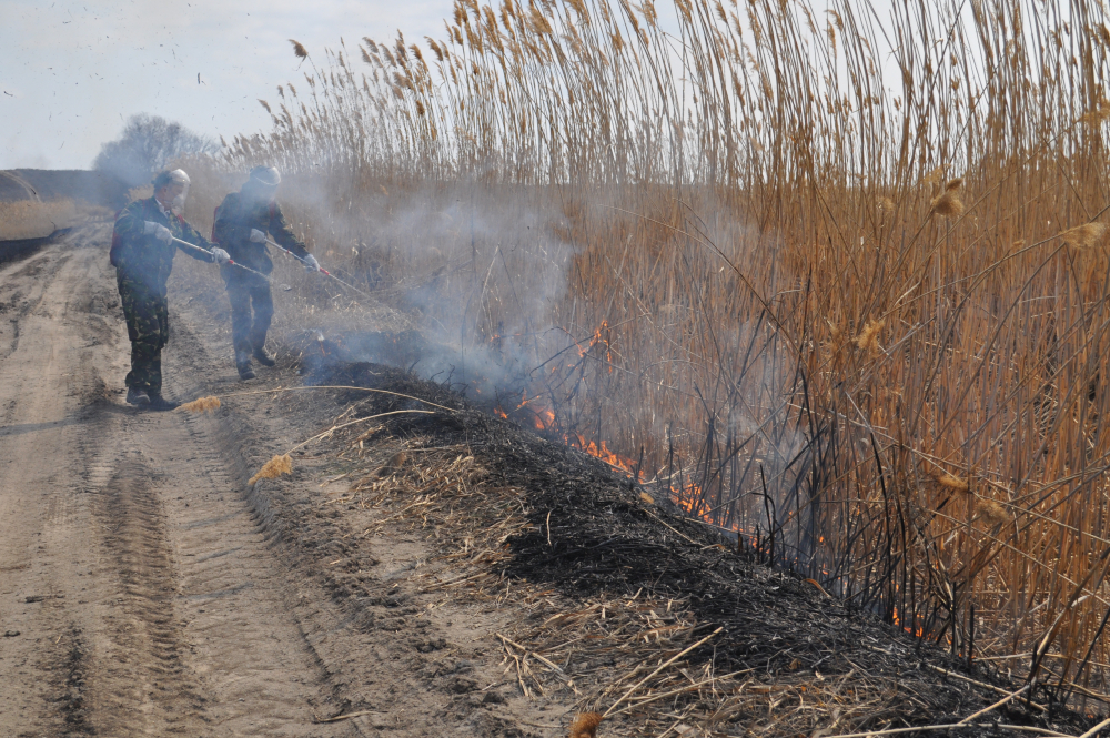 МЧС предупреждает: в Астраханской области сохраняется пожароопасность