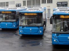 По каким маршрутам пустят новые автобусы в Астрахани 