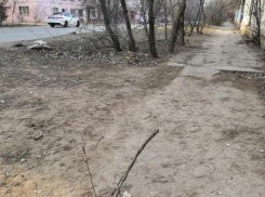 Фото дня: в Астрахани канализационные люки превращают в ловушки Вьетконга