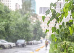 28 июня в Астрахани ожидается слабый дождь