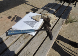 Череп динозавра, найденный в Астраханской области, уехал в Самару